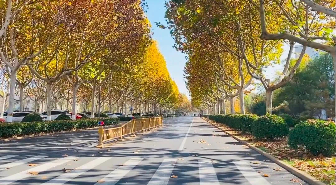 suncitygroup太阳集团