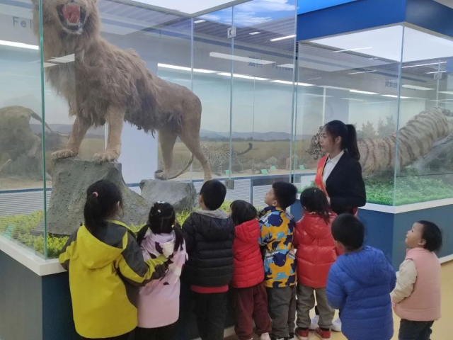 suncitygroup太阳集团