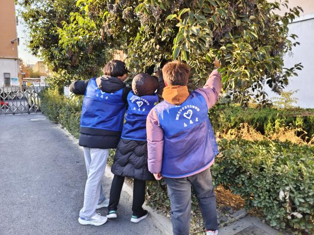 suncitygroup太阳集团