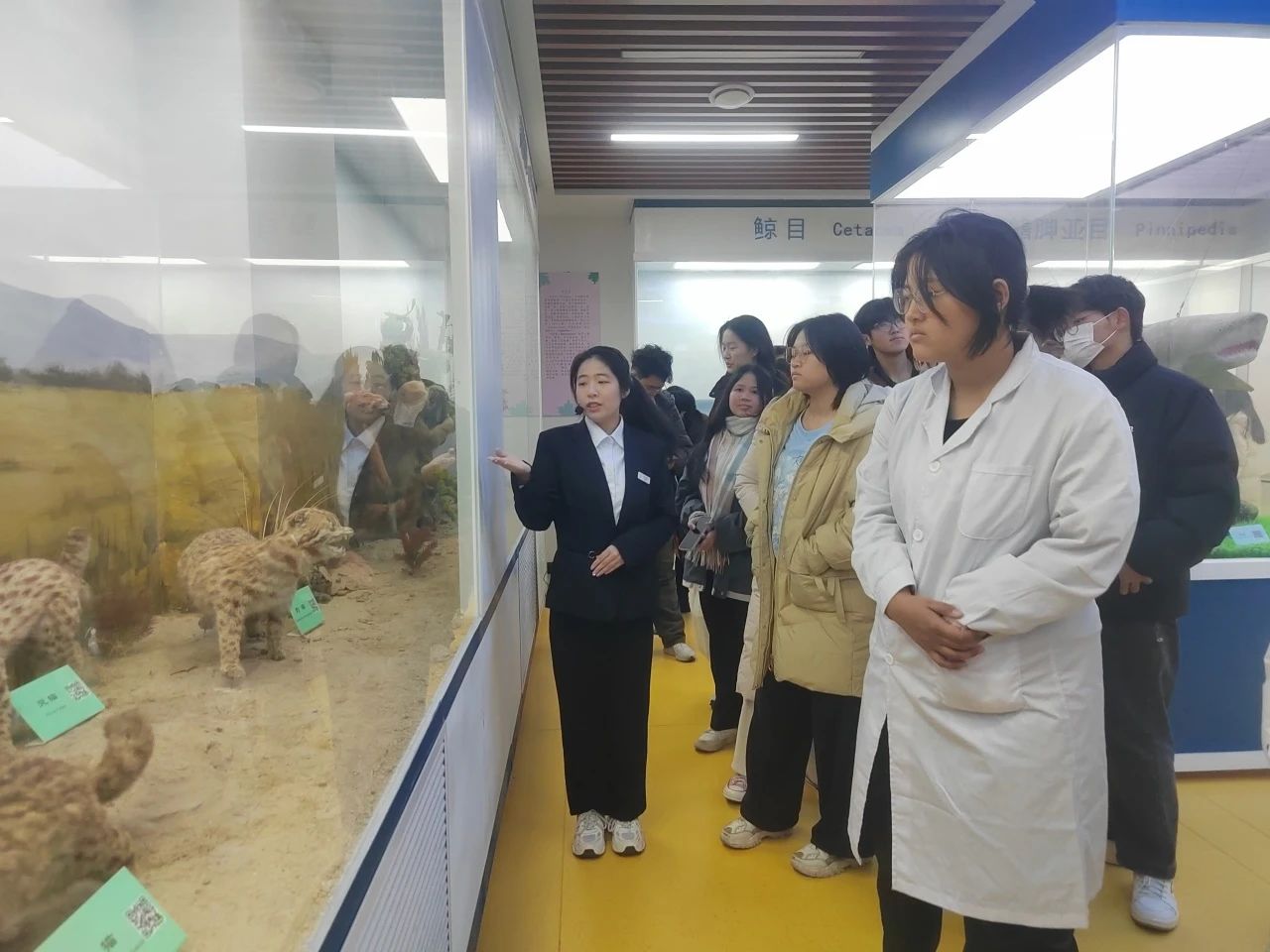 suncitygroup太阳集团