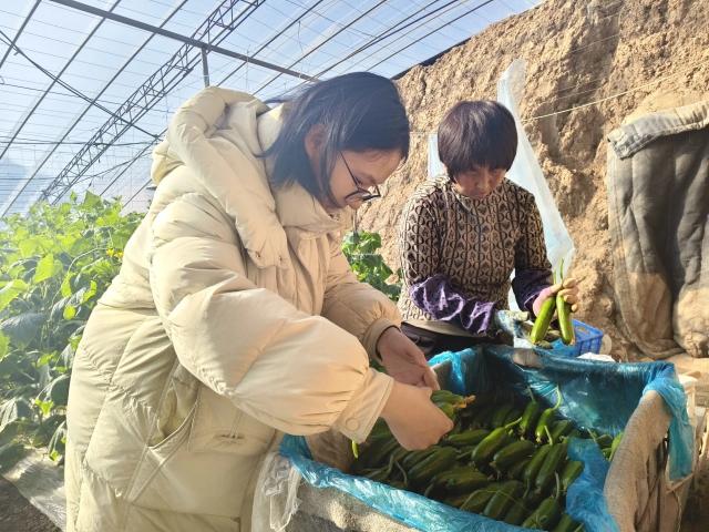 suncitygroup太阳集团