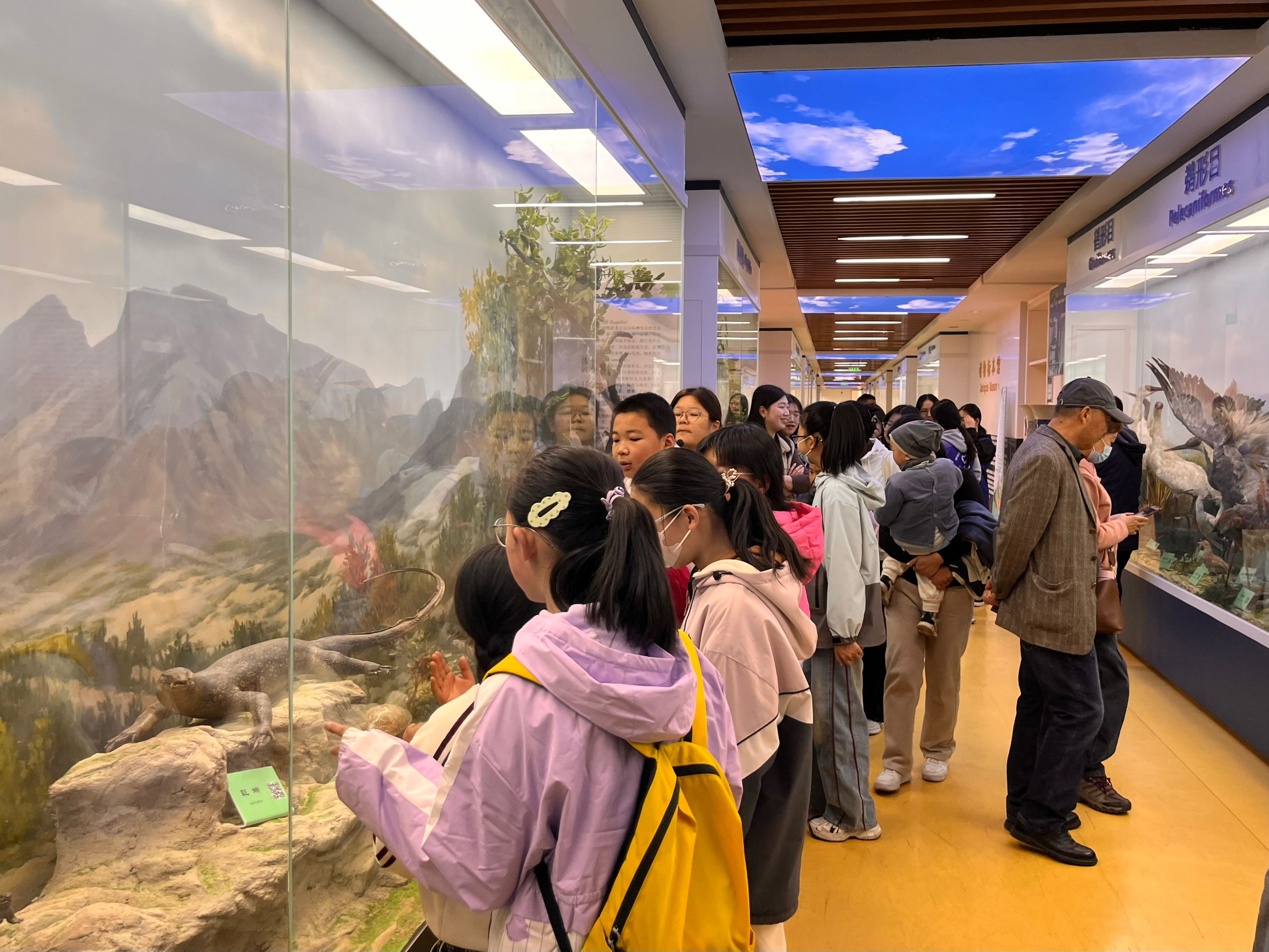 suncitygroup太阳集团