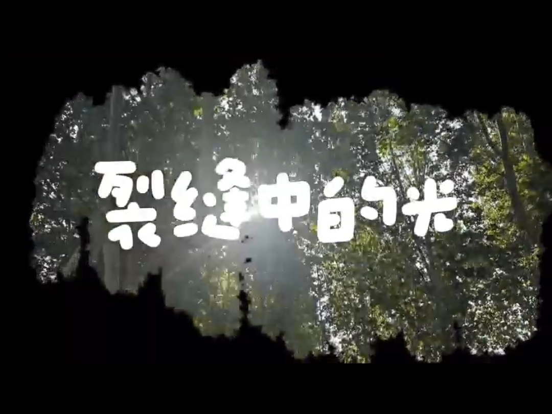 suncitygroup太阳集团