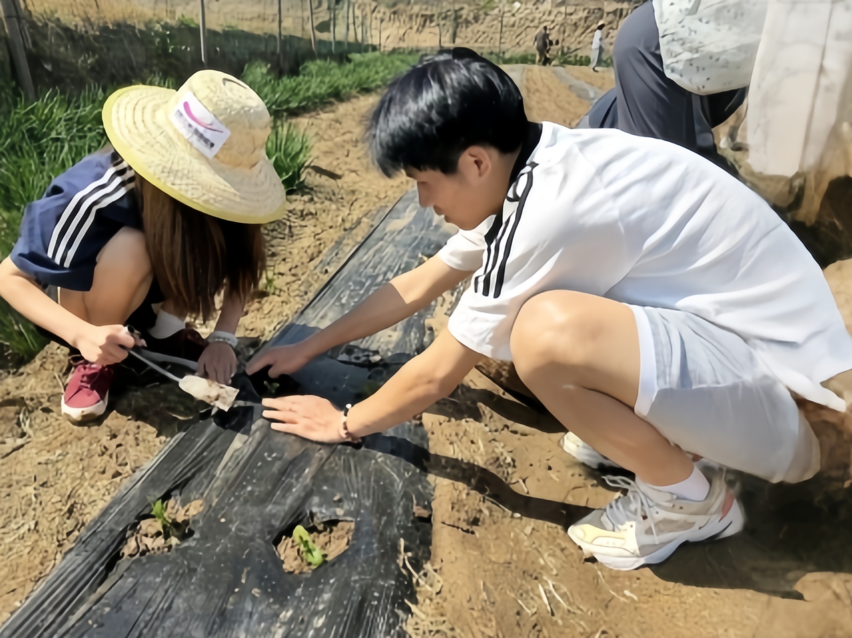 suncitygroup太阳集团