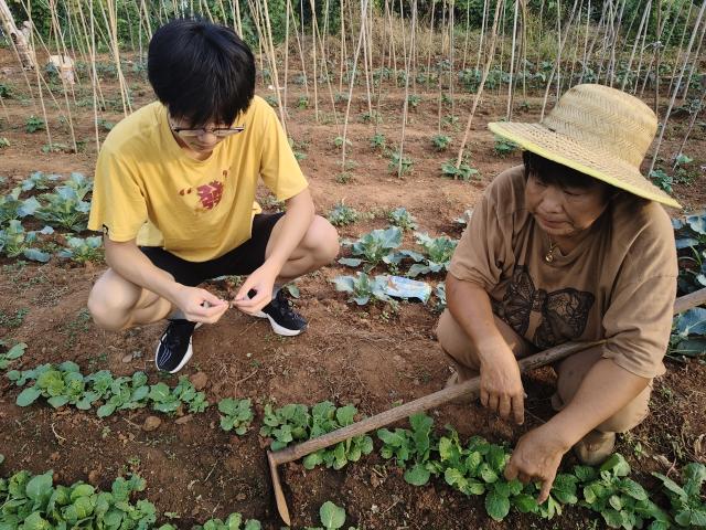 suncitygroup太阳集团